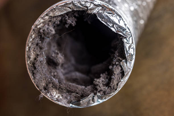 Best Ductwork Cleaning Services  in Cape Charles, VA